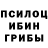 Галлюциногенные грибы Psilocybe Masha Frik