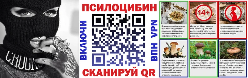 гидра ссылка  Кяхта  Псилоцибиновые грибы мицелий 